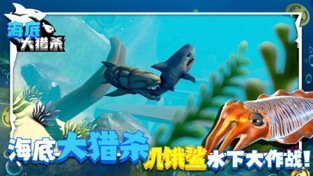预览图3