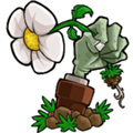 植物大战僵尸元素版手机安装包下载 v1.1.9