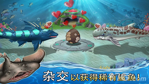 预览图3