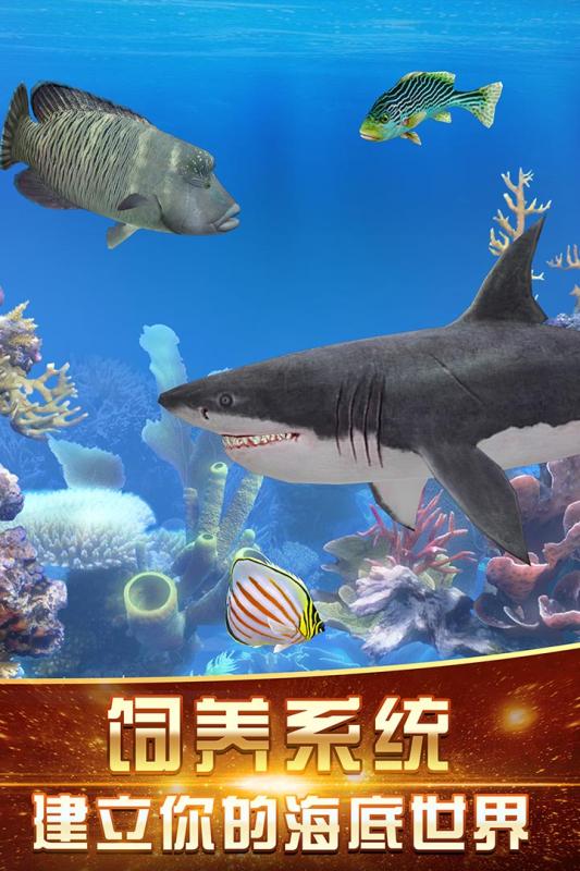 预览图5
