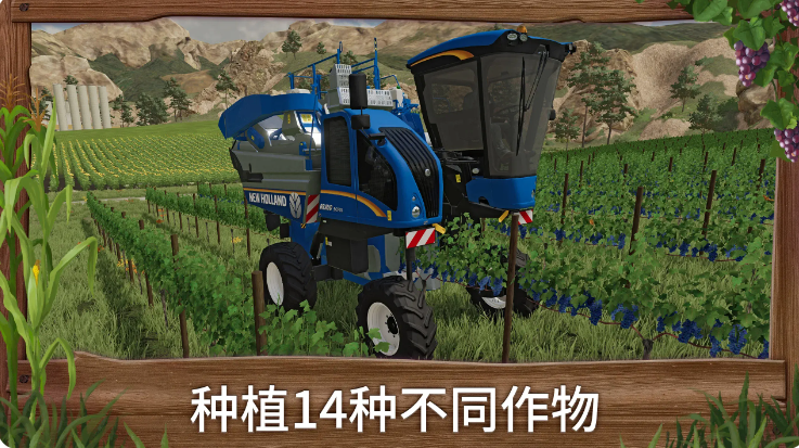 预览图4