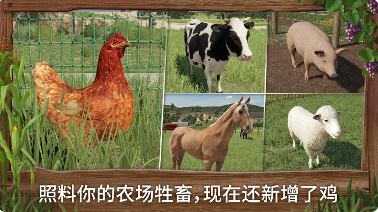 预览图5