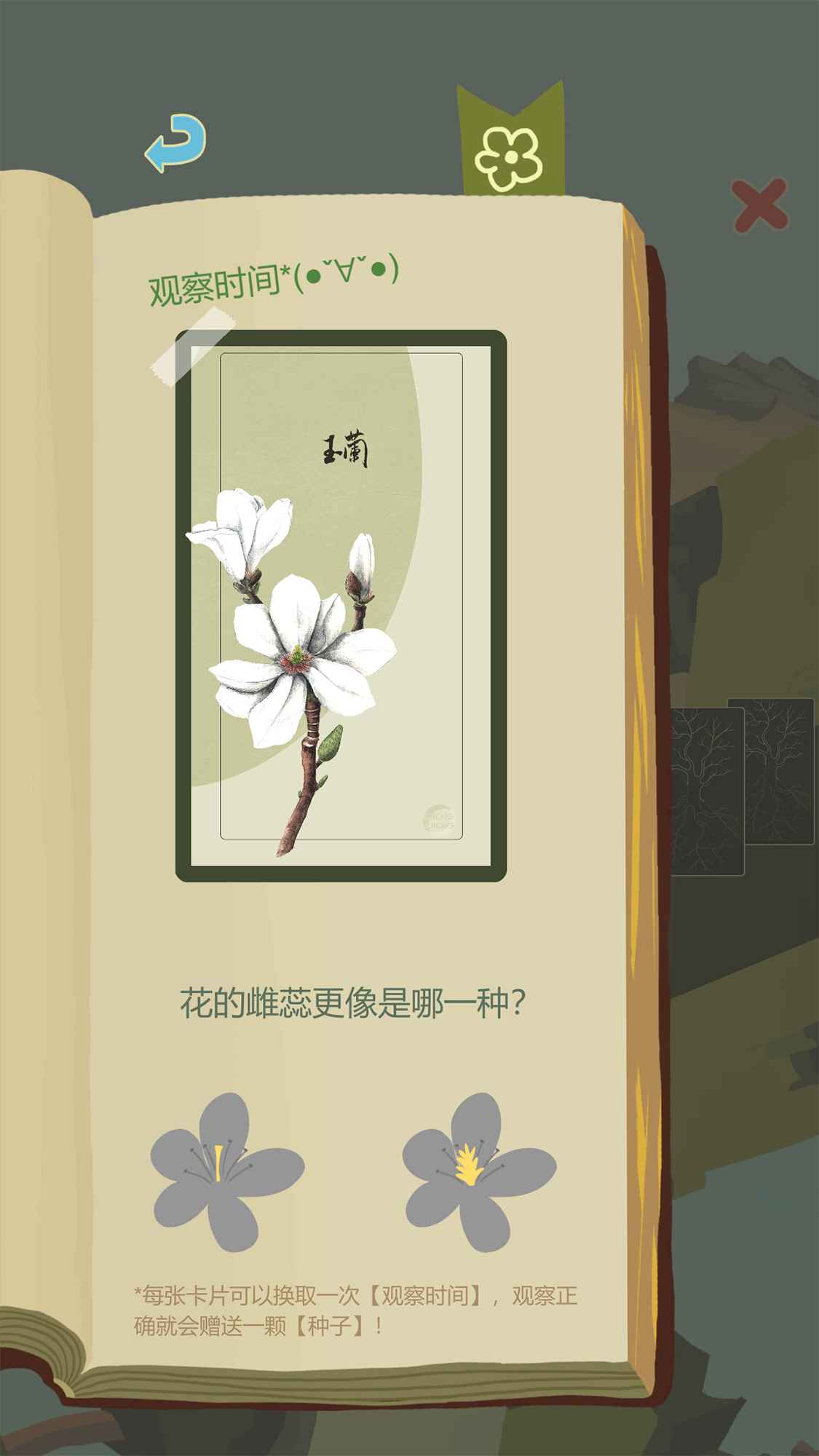 预览图6
