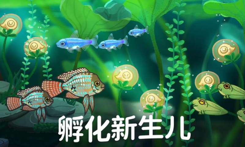 预览图3