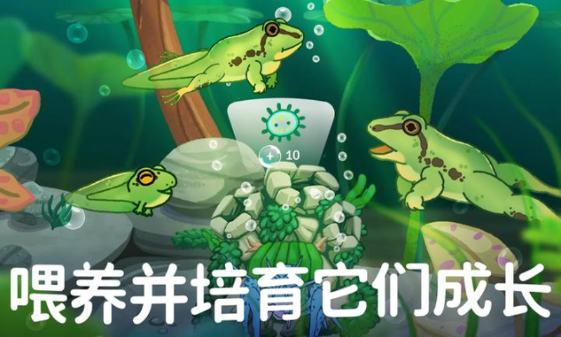 预览图4