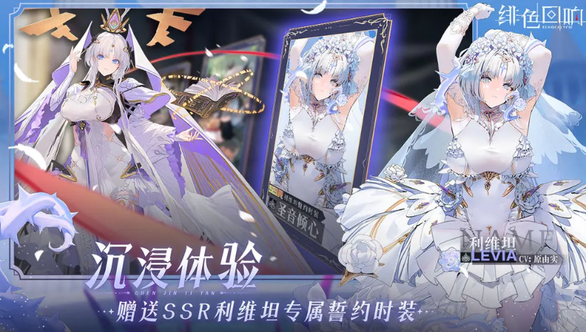 预览图3
