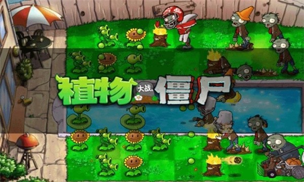 预览图1