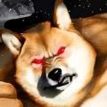 肌肉柴犬下载 v1.2