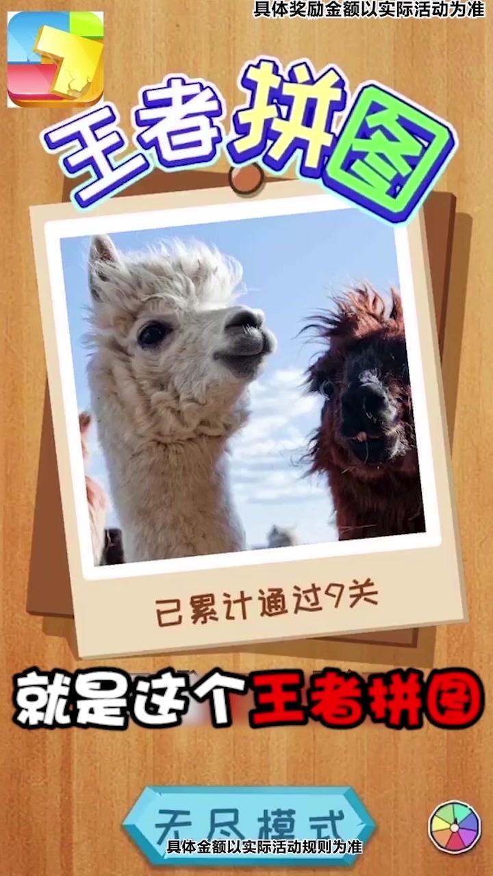 预览图1
