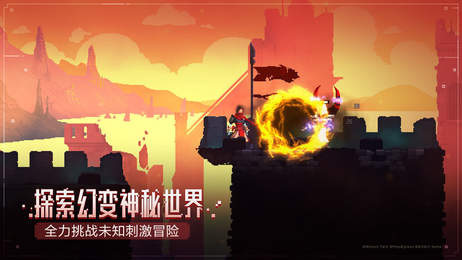预览图1