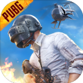 pubg国际服地铁逃生下载 v1.2.0