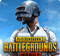 PUBGMOBILE国际版下载 v2.0.0