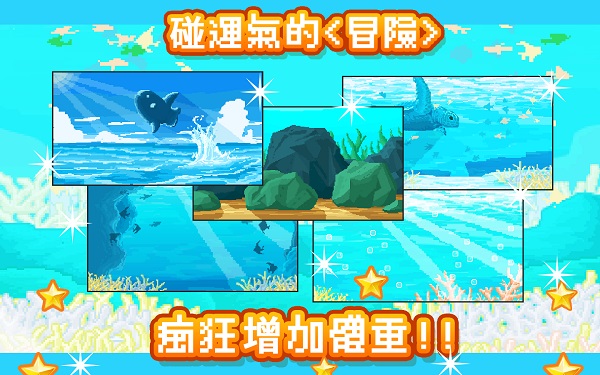 预览图1