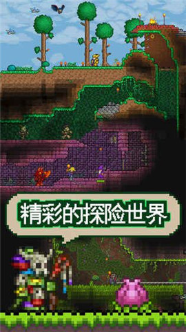 预览图3