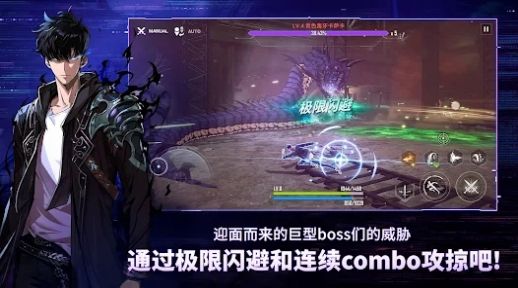 预览图1