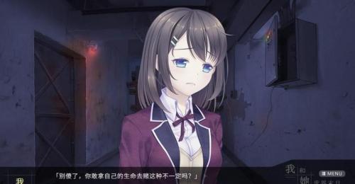 预览图4