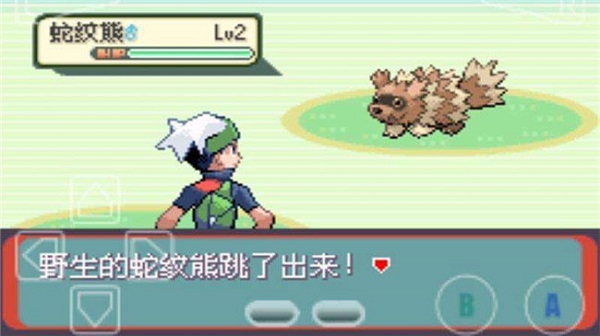 预览图3