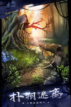 预览图5