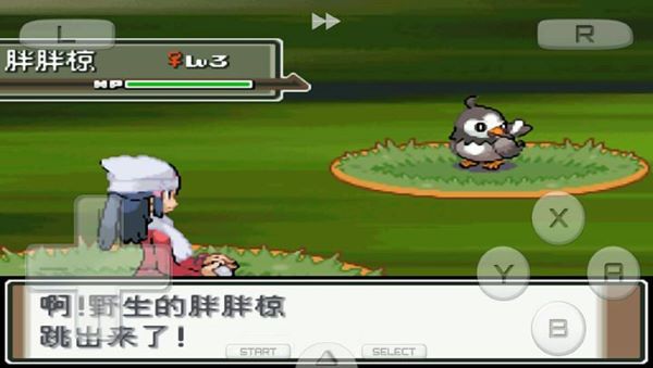 预览图3