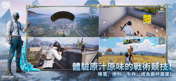 预览图2
