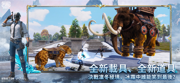 预览图4