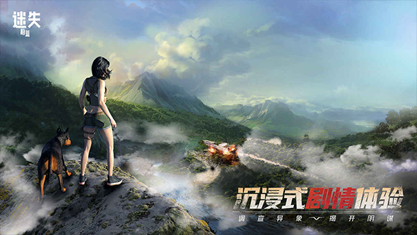 预览图2