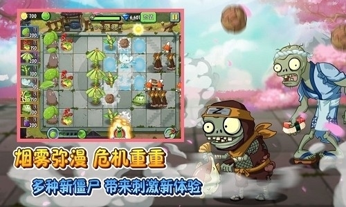 预览图3