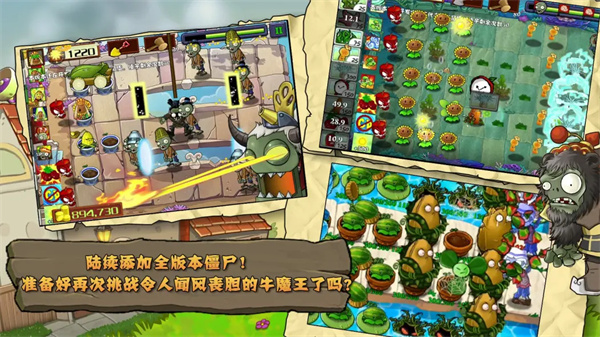 预览图2