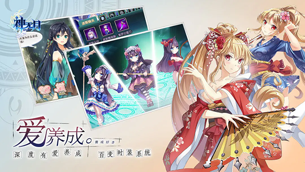 预览图3