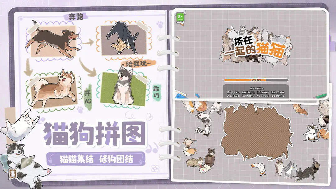 预览图2