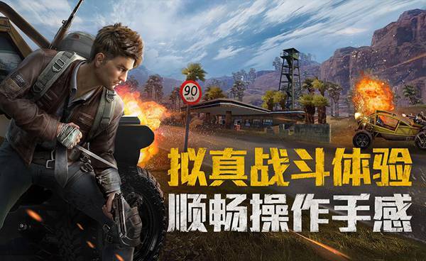预览图3